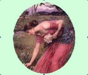 vcm_s_kf_repr_363x309